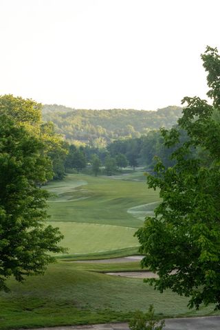 15 Birdie Lane 3, Branson West, MO 65737