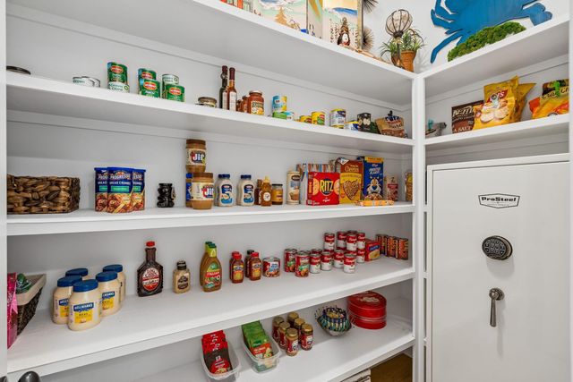 1537 Menhaden Lane, Mount Pleasant, SC 29466