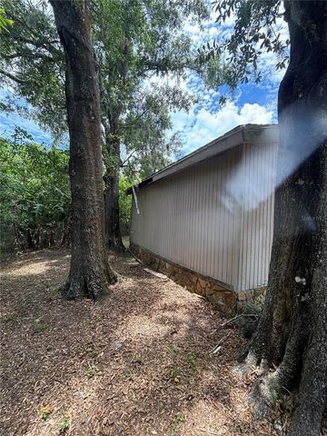 13232 BLISSFIELD ROAD, Odessa, FL 33556