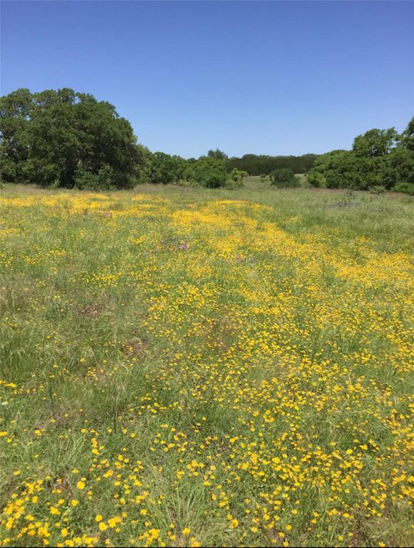 184 Moondance TRL, Wimberley, TX 78676