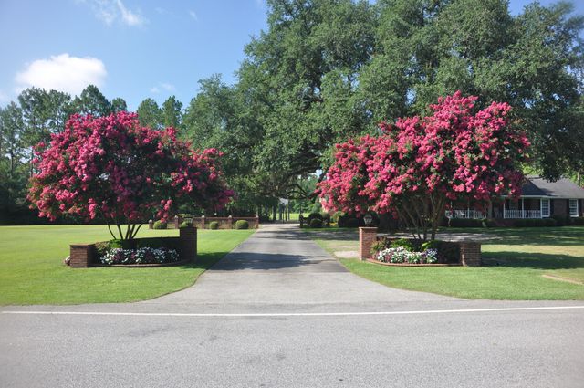 2899 Wire Road, Saint George, SC 29477