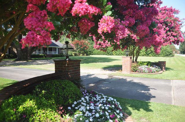 2899 Wire Road, Saint George, SC 29477