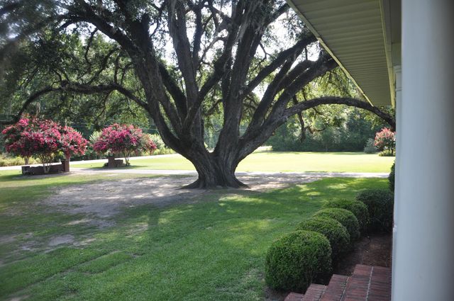 2899 Wire Road, Saint George, SC 29477
