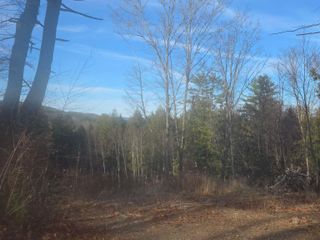 00 Will Dean Road, Springfield, VT 05156