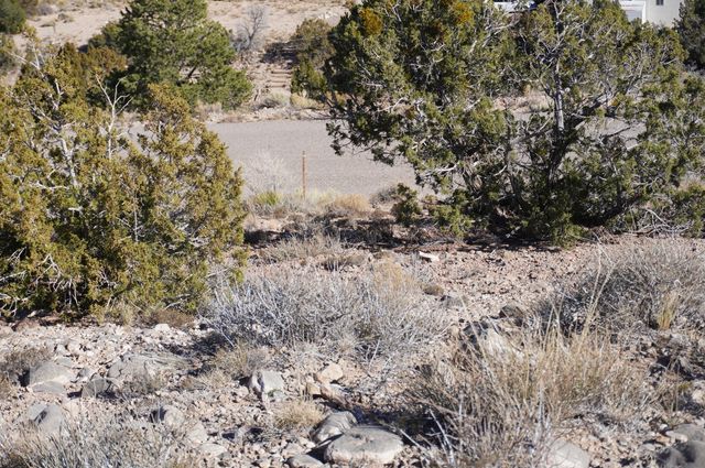 Cabezon Road, Placitas, NM 87043