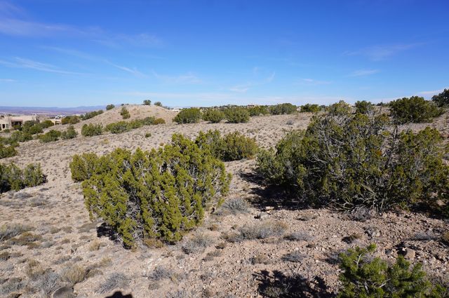 Cabezon Road, Placitas, NM 87043
