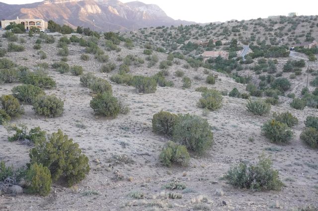 Cabezon Road, Placitas, NM 87043