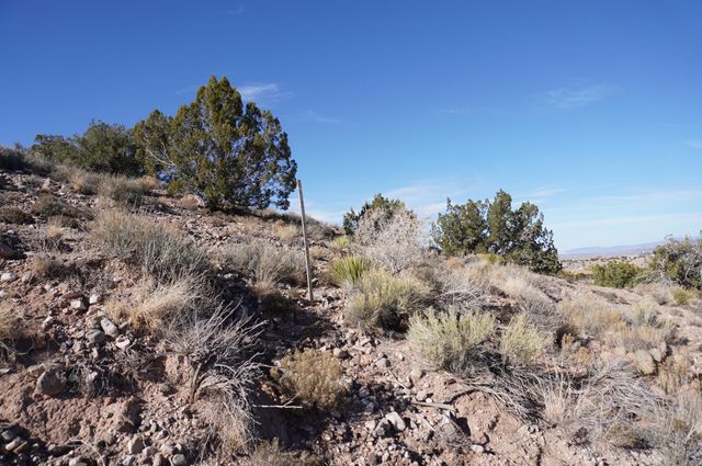 Cabezon Road, Placitas, NM 87043