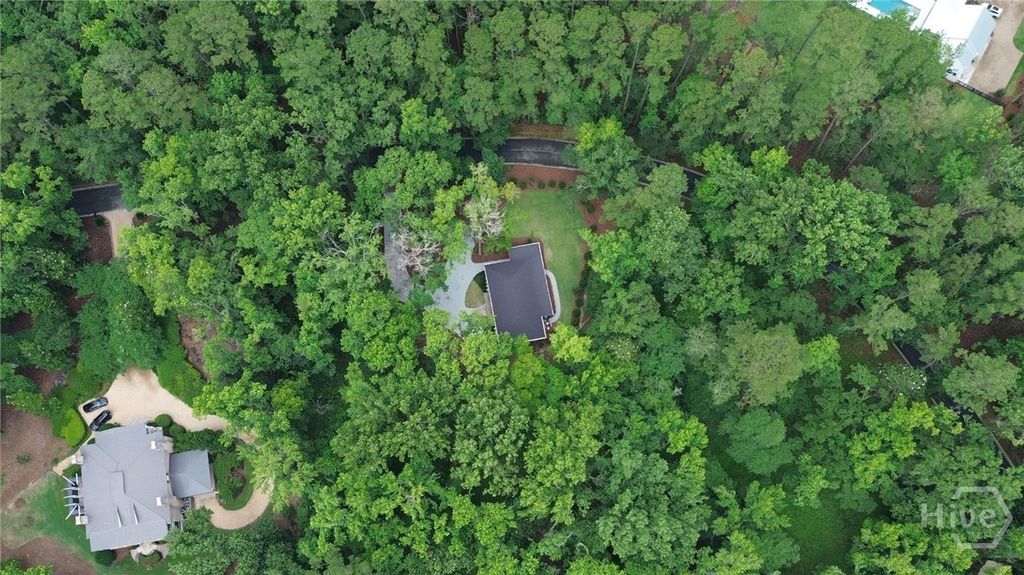 Image 56 of property listing at 143 Jimmy Blige Lane, Richmond Hill, GA 31324