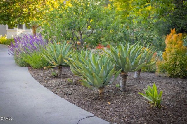 1450 Grand Avenue, Ojai, CA 93023