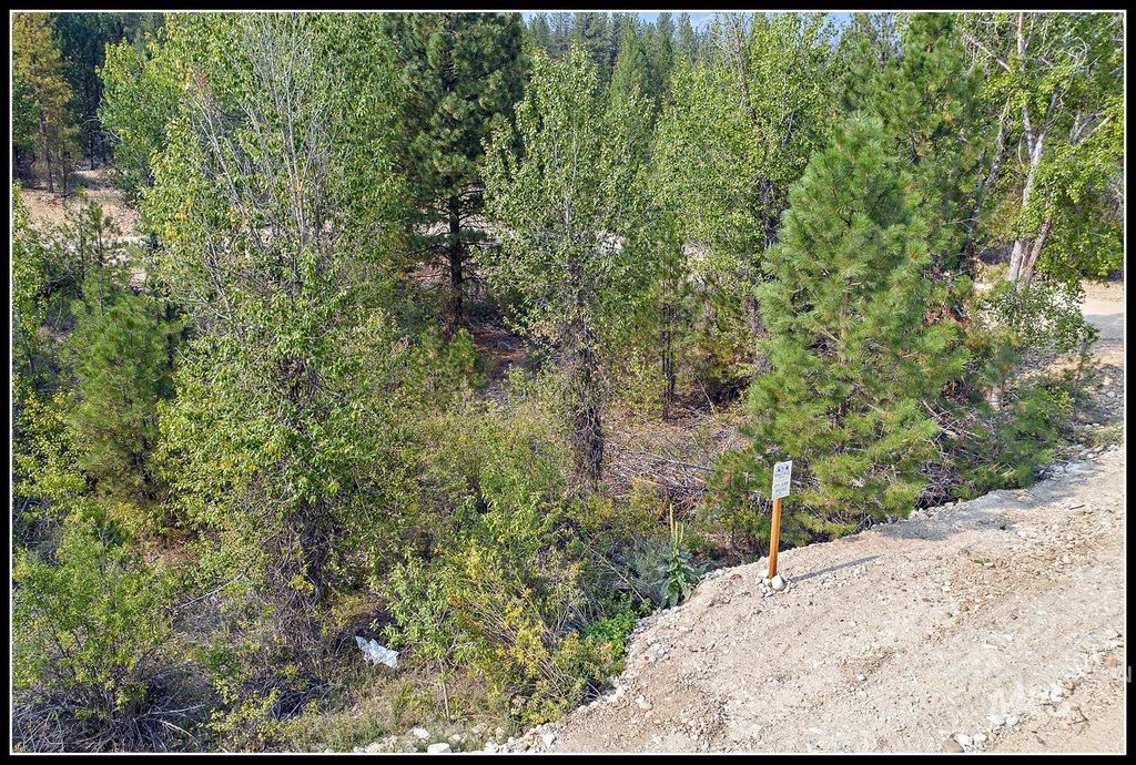 Lot 61 Lily Loop, Idaho City, ID 83631 photo 3