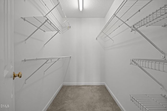 1210 Westview Lane 309, Raleigh, NC 27605