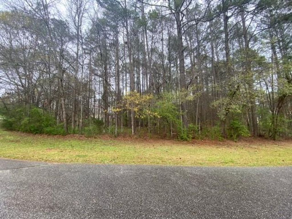 254 Westchester Drive, Griffin, GA 30223