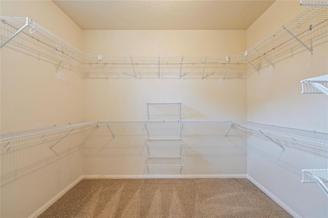 3124 Sand Shadow Drive, League City, TX 77573