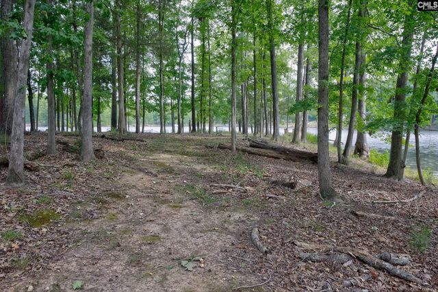 111 Tortoise Trail, Batesburg, SC 29006