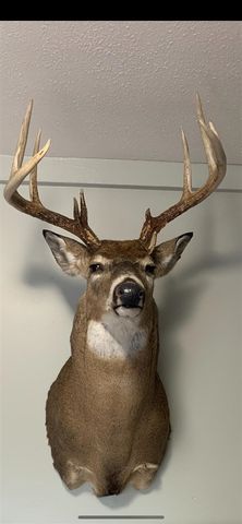 3041 Elk Antler Avenue, Plainwell, MI 49080