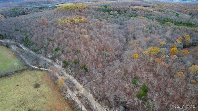 Rt. 1 Box 3530 County Road 14-531, Ava, MO 65608