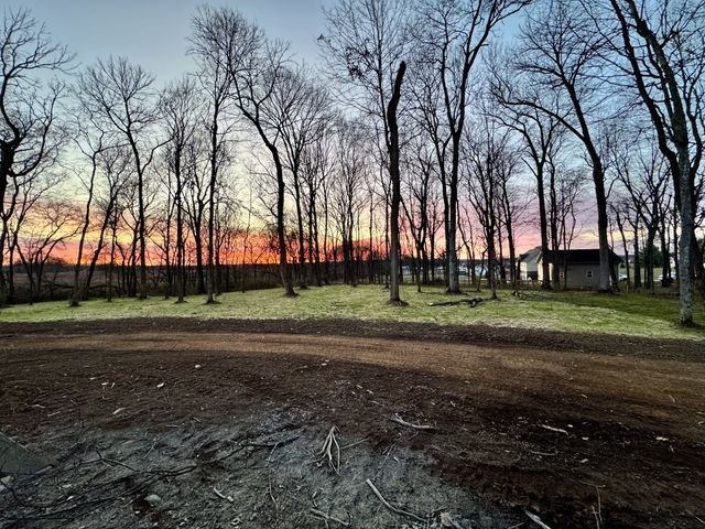 533 Greenfield Ln, Castalian Springs, TN 37031