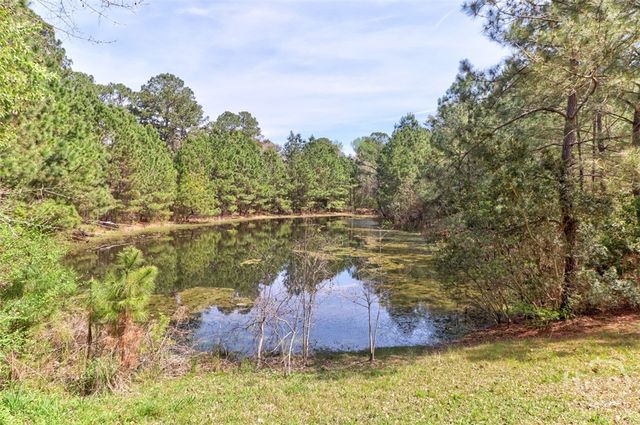 1679 Hodgeville Road, Rincon, GA 31326