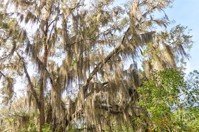 1679 Hodgeville Road, Rincon, GA 31326