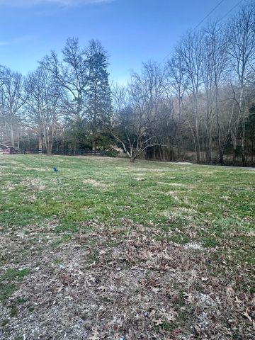 58 Pendleton Branch Road, Olympia, KY 40358