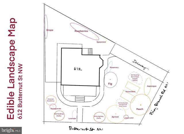 612 BUTTERNUT ST NW, Washington, DC 20012