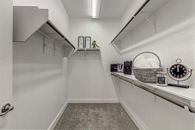 5121 Lunata WAY, Round Rock, TX 78665