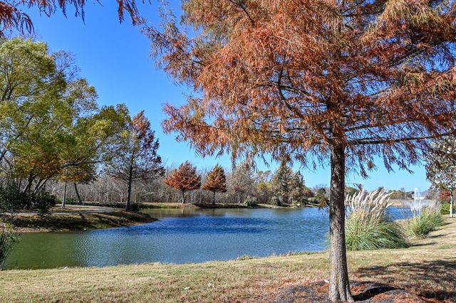 5121 Lunata WAY, Round Rock, TX 78665