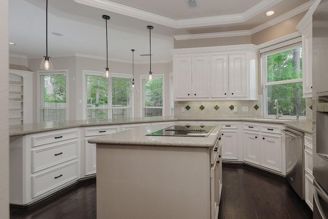 14 Graceful Elm Court, The Woodlands, TX 77381