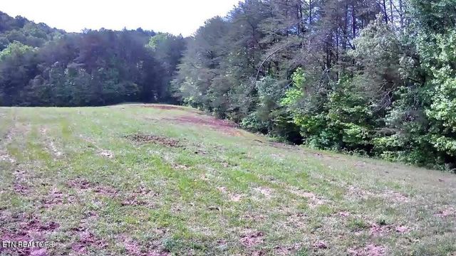 188 Dalton Branch Rd, Tellico Plains, TN 37385