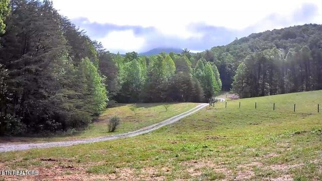 188 Dalton Branch Rd, Tellico Plains, TN 37385