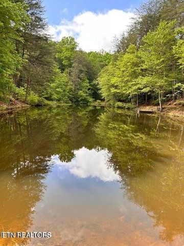 188 Dalton Branch Rd, Tellico Plains, TN 37385
