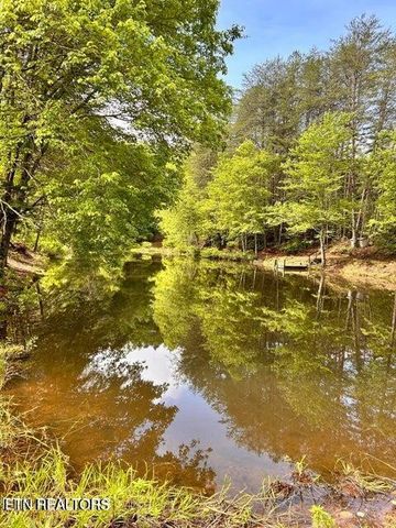 188 Dalton Branch Rd, Tellico Plains, TN 37385