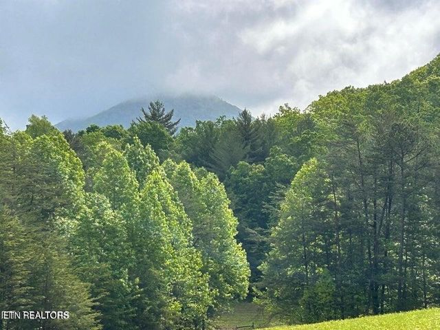 188 Dalton Branch Rd, Tellico Plains, TN 37385