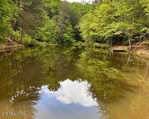 188 Dalton Branch Rd, Tellico Plains, TN 37385