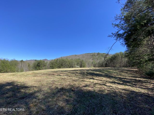 188 Dalton Branch Rd, Tellico Plains, TN 37385