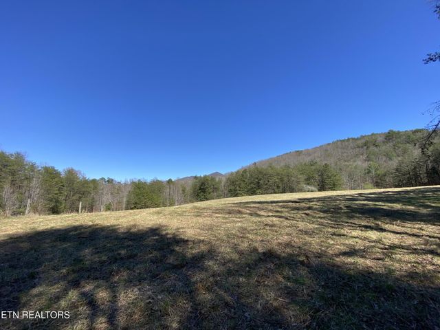 188 Dalton Branch Rd, Tellico Plains, TN 37385
