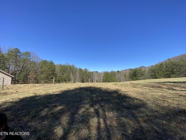 188 Dalton Branch Rd, Tellico Plains, TN 37385