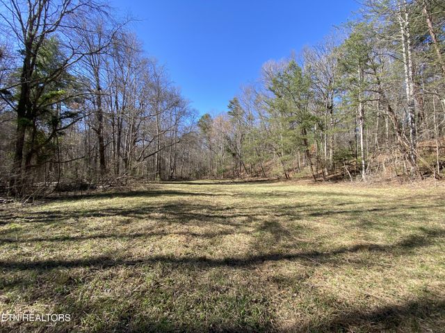 188 Dalton Branch Rd, Tellico Plains, TN 37385