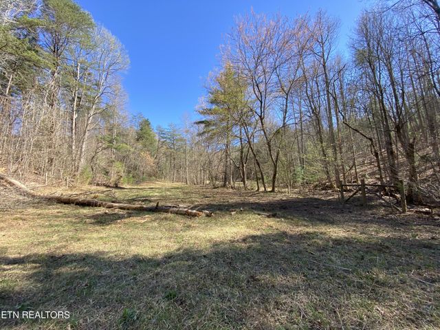 188 Dalton Branch Rd, Tellico Plains, TN 37385