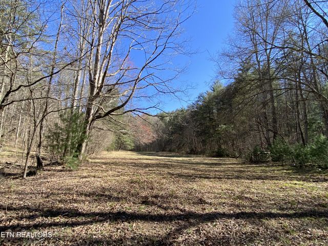 188 Dalton Branch Rd, Tellico Plains, TN 37385