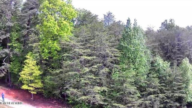 188 Dalton Branch Rd, Tellico Plains, TN 37385