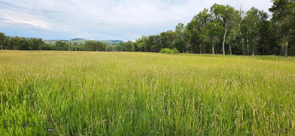 8 West Fork Road, Nye, MT 59061 photo 34