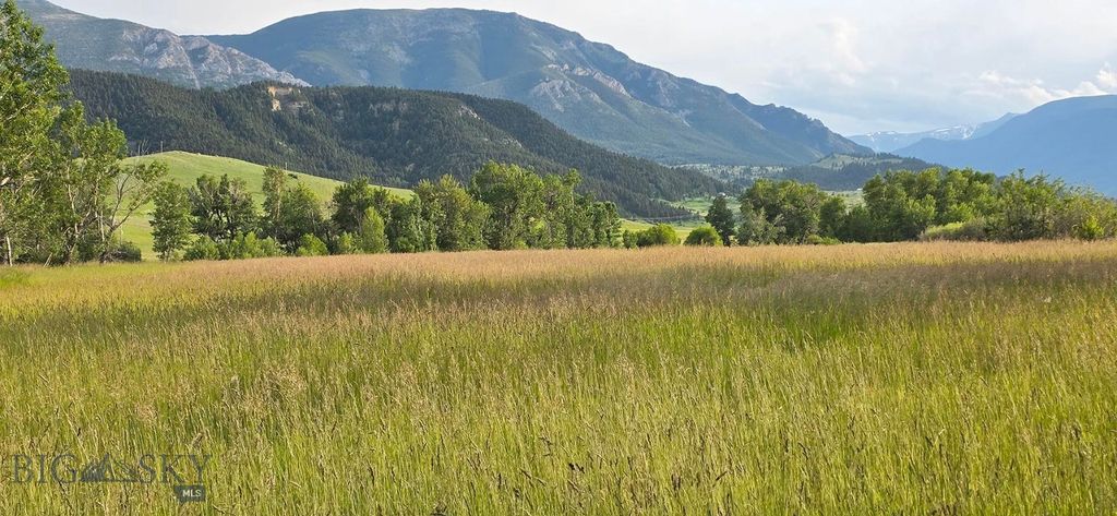 8 West Fork Road, Nye, MT 59061 photo 36