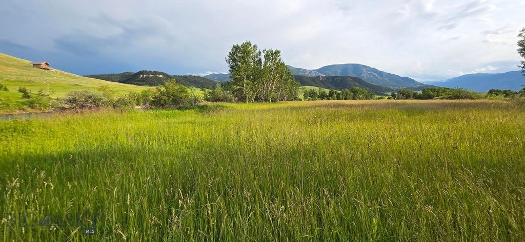 8 West Fork Road, Nye, MT 59061 photo 37