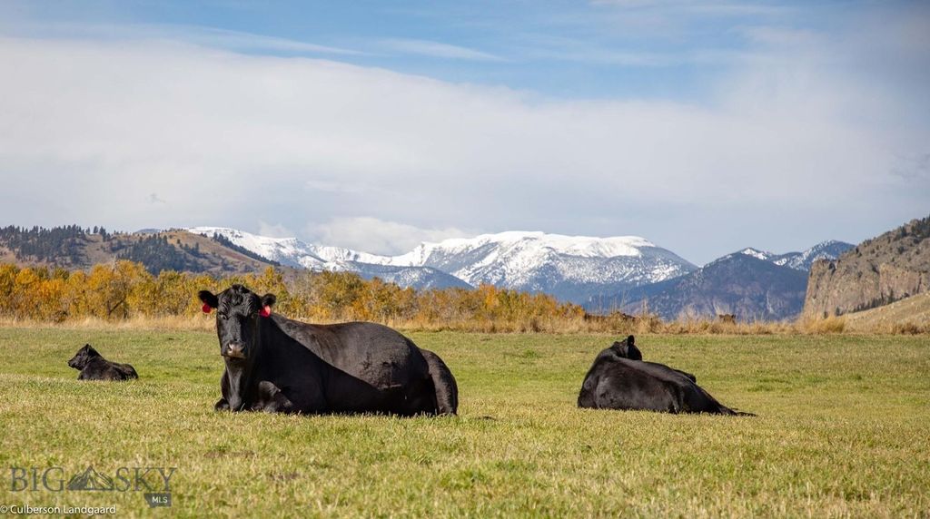8 West Fork Road, Nye, MT 59061 photo 41
