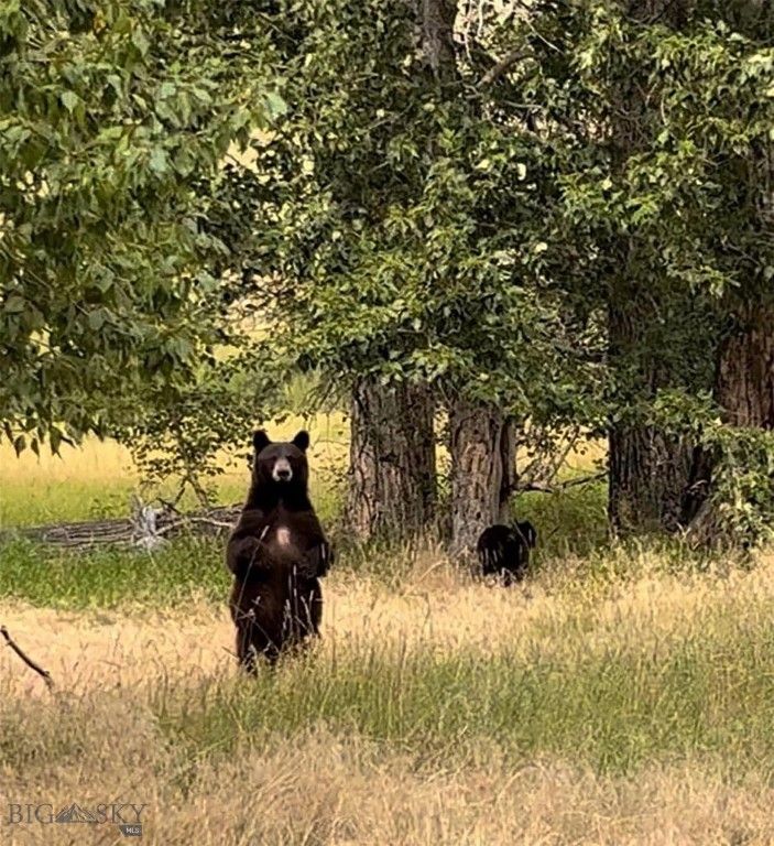 8 West Fork Road, Nye, MT 59061 photo 43