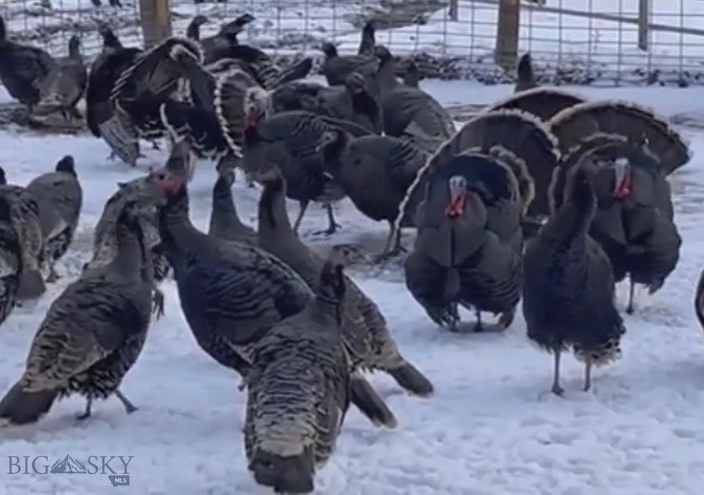 8 West Fork Road, Nye, MT 59061 photo 45