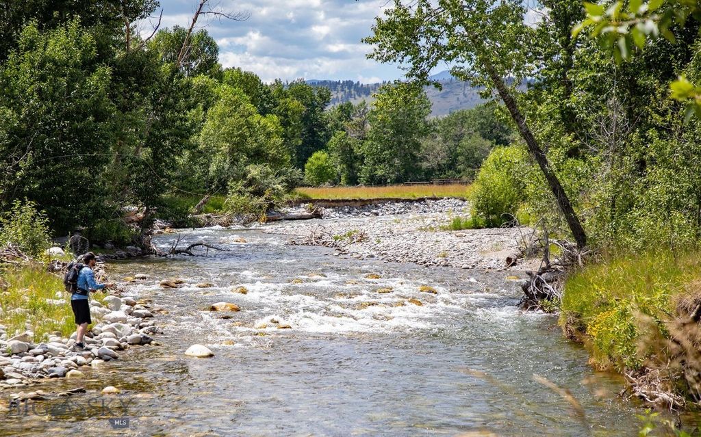 8 West Fork Road, Nye, MT 59061 photo 9