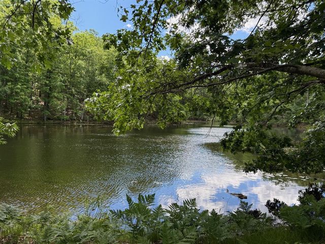 8980 Canyon Springs Court, Canadian Lakes, MI 49346